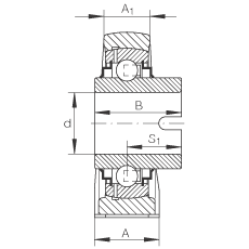 直立式軸承座單元 RASEL50-N, 鑄鐵軸承座，浮動(dòng)軸承，內(nèi)圈有驅(qū)動(dòng)槽，R 型密封